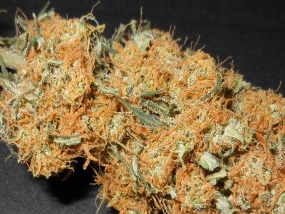 Buy Orange Berry Marijuana Strain